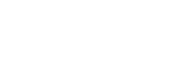 zebra-logo-white